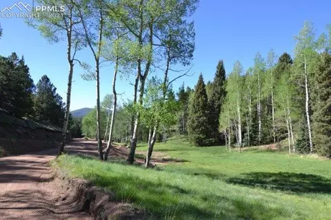 199 Running Elk Pt, Divide, CO 80814 photo 30