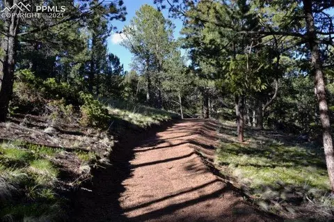 199 Running Elk Pt, Divide, CO 80814 photo 26