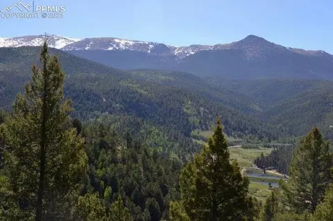 199 Running Elk Pt, Divide, CO 80814 photo 5
