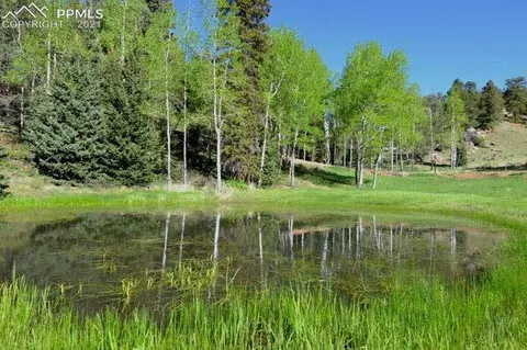 199 Running Elk Pt, Divide, CO 80814 photo 31