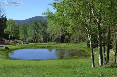199 Running Elk Pt, Divide, CO 80814 photo 29