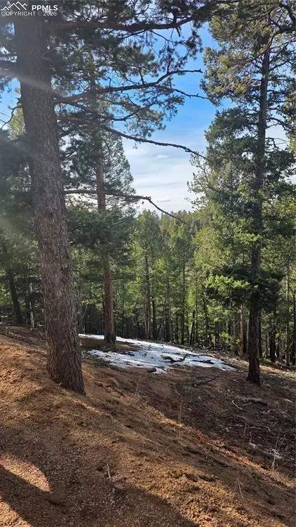 307 Tillicum Trl, Woodland Park, CO 80863