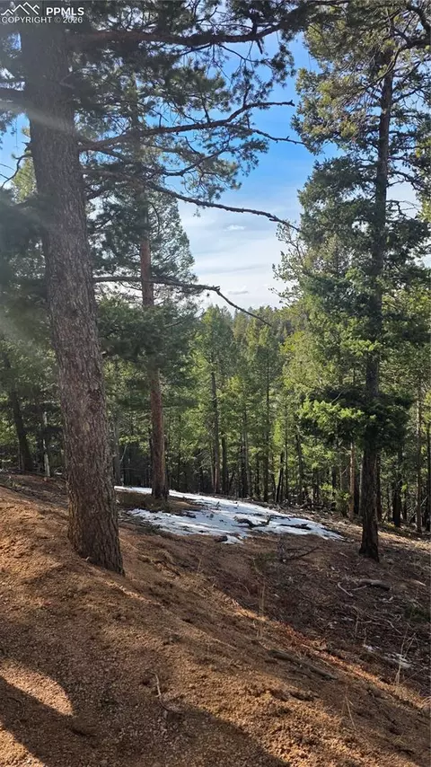307 Tillicum Trl, Woodland Park, CO 80863