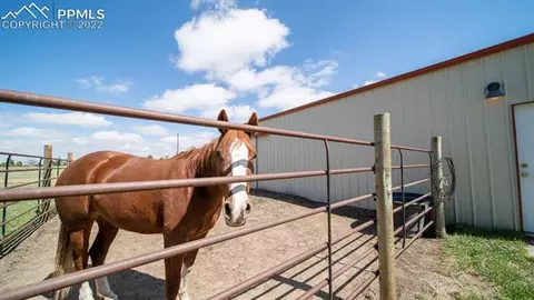 13575 Murphy Rd, Elbert, CO 80106 photo 45