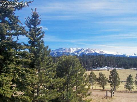 341 Pine Bluff Dr, Divide, CO 80814 photo 10