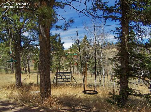 341 Pine Bluff Dr, Divide, CO 80814 photo 33