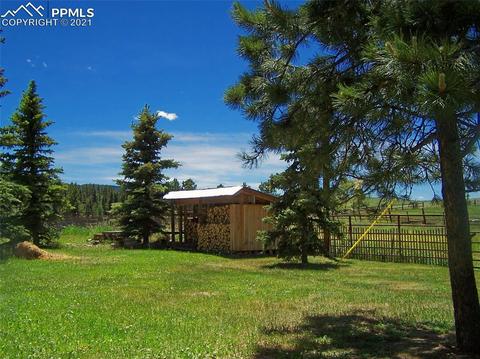 341 Pine Bluff Dr, Divide, CO 80814 photo 45