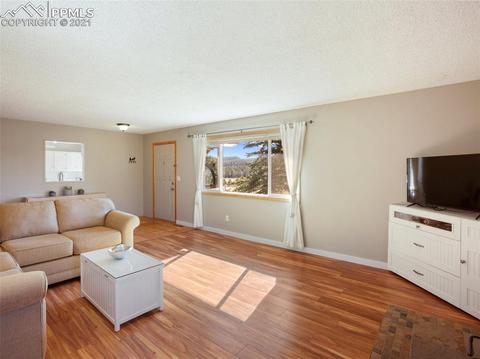 341 Pine Bluff Dr, Divide, CO 80814 photo 8