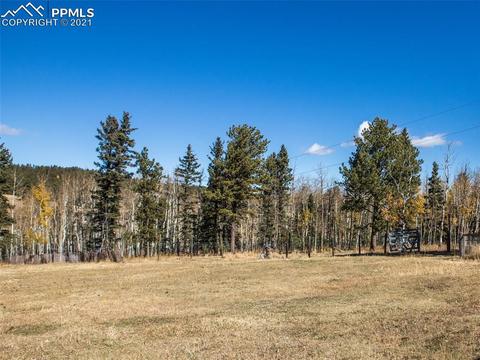 341 Pine Bluff Dr, Divide, CO 80814 photo 42