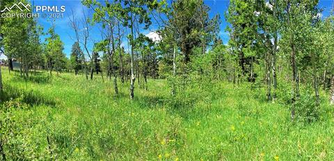 341 Pine Bluff Dr, Divide, CO 80814 photo 44