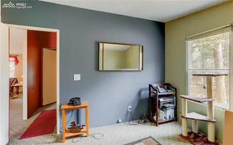 1021 Calcite Dr, Divide, CO 80814 photo 14