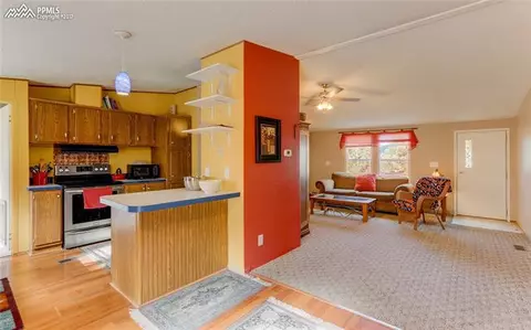1021 Calcite Dr, Divide, CO 80814 photo 5
