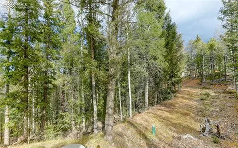 1021 Calcite Dr, Divide, CO 80814 photo 30