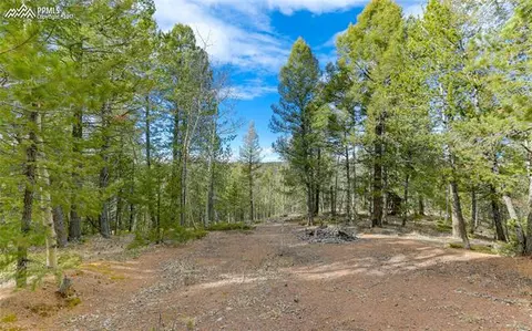 1021 Calcite Dr, Divide, CO 80814 photo 31