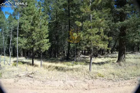 252 Southpark Rd, Florissant, CO 80816