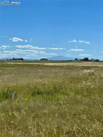 11950 N Log Rd, Peyton, CO 80831 photo 10