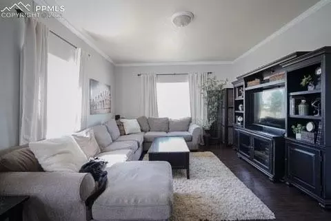 3085 Angus Ct, Peyton, CO 80831 photo 5