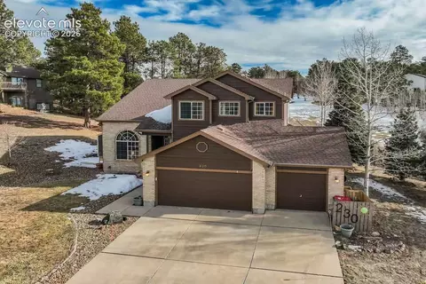 230 Wild Duck Ln, Monument, CO 80132