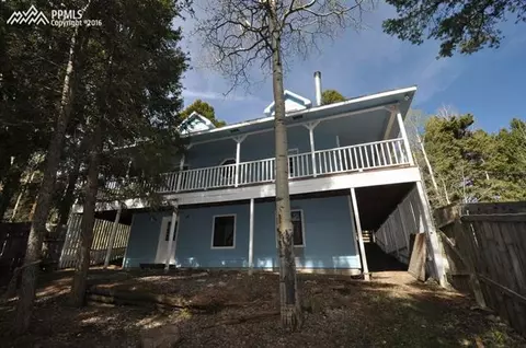 95 Knighthood Ln, Divide, CO 80814 photo 19