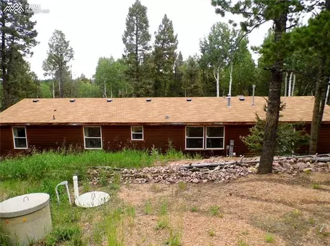 740 Jolly Rogue Dr, Divide, CO 80814 photo 3