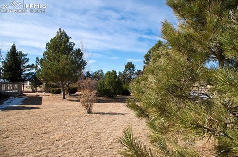 10130 Raptor Loop, Peyton, CO 80831 photo 30