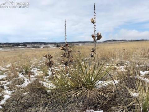 15325 E Chaparral Loop, Peyton, CO 80831 photo 1