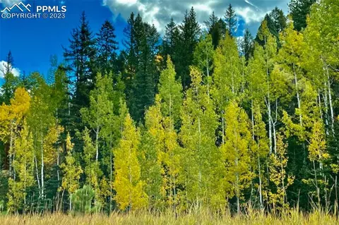 24 Valley Cir, Divide, CO 80814 photo 50