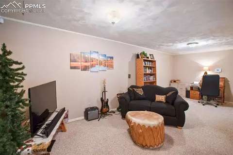 24 Valley Cir, Divide, CO 80814 photo 30