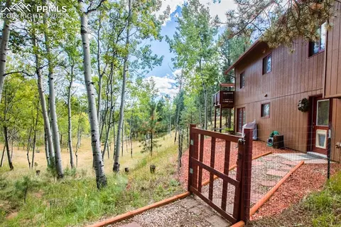 24 Valley Cir, Divide, CO 80814 photo 32