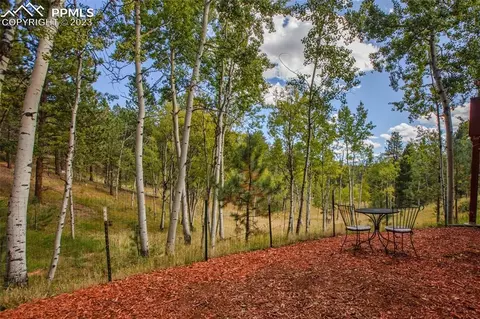 24 Valley Cir, Divide, CO 80814 photo 37