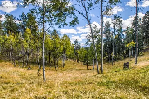 24 Valley Cir, Divide, CO 80814 photo 36