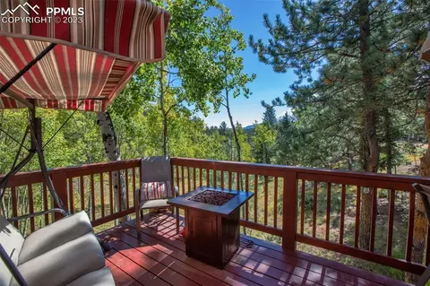 24 Valley Cir, Divide, CO 80814 photo 48