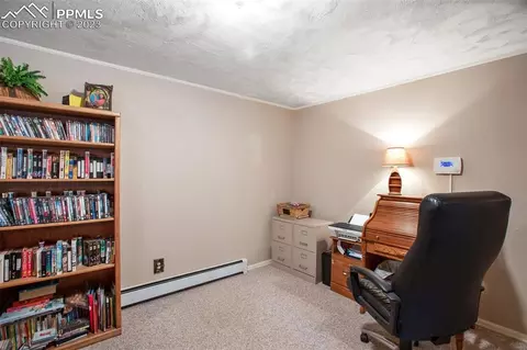 24 Valley Cir, Divide, CO 80814 photo 28