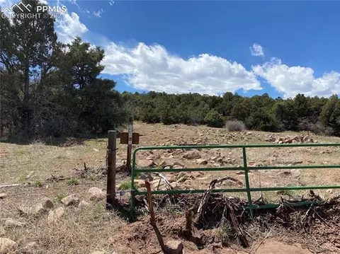 1069 Eagle Peak Cir, Cotopaxi, CO 81223 photo 13