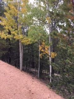 741 Calcite Dr, Divide, CO 80814 photo 6
