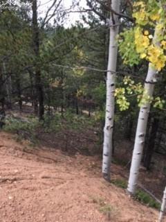 741 Calcite Dr, Divide, CO 80814 photo 5