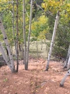 741 Calcite Dr, Divide, CO 80814 photo 1