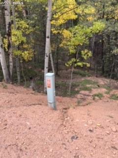 741 Calcite Dr, Divide, CO 80814 photo 2
