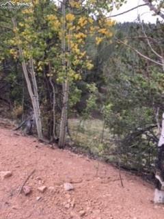 741 Calcite Dr, Divide, CO 80814 photo 4