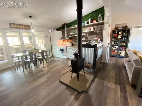 11462 Ruby Mountain Ln, Nathrop, CO 81236 photo 6