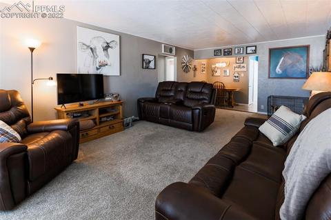 31442 Summit St, Simla, CO 80835 photo 8