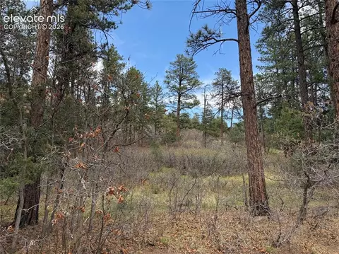 4885 Red Rock Dr, Larkspur, CO 80118