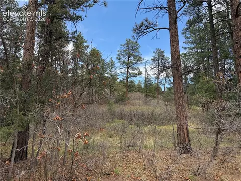 4885 Red Rock Dr, Larkspur, CO 80118