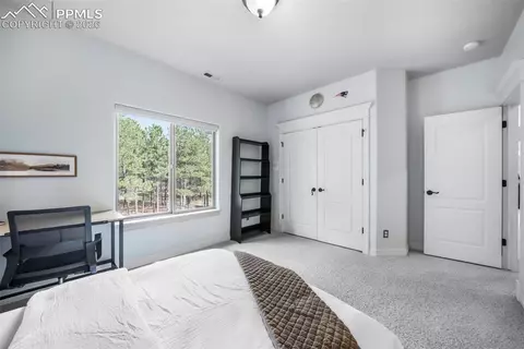 450 E Stirrup Trl, Monument, CO 80132 photo 29