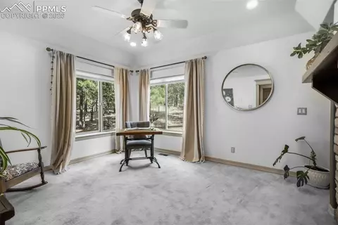 450 E Stirrup Trl, Monument, CO 80132 photo 19