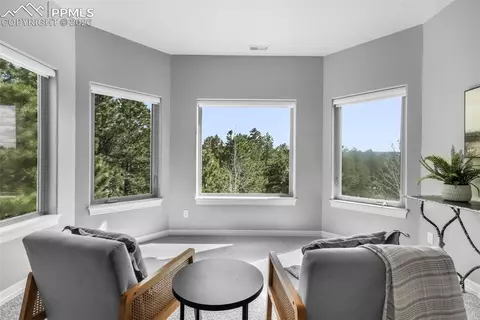 450 E Stirrup Trl, Monument, CO 80132 photo 24
