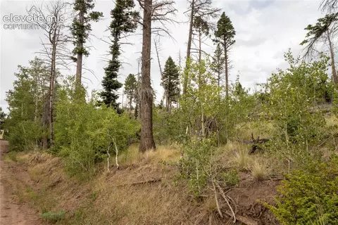 lot2571 Andes Loop, Fort Garland, CO 81133