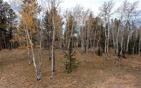 206 Ridge Rd, Divide, CO 80814 photo 36