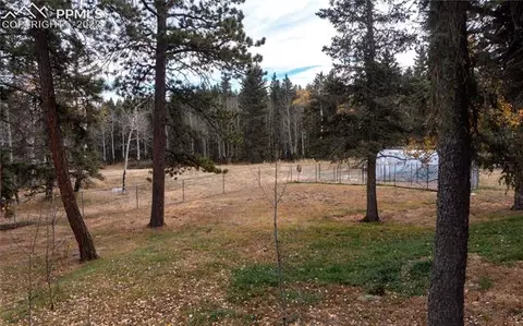 206 Ridge Rd, Divide, CO 80814 photo 37