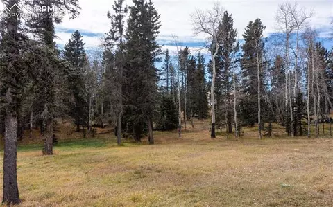 206 Ridge Rd, Divide, CO 80814 photo 38